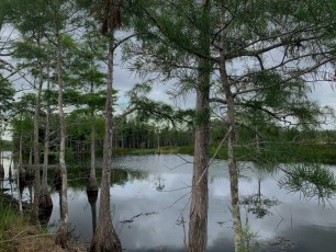 Apoxee Trail, et Owahee Trail : des sentiers de randonnée et de VTT à West Palm Beach en Floride