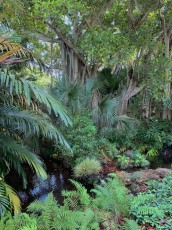 McKee-Botanical-gardens-Vero-Beach-Floride-0624