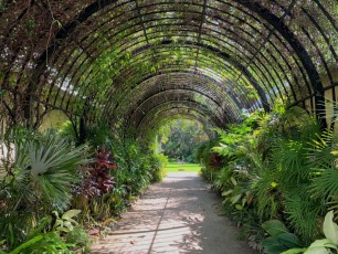 McKee-Botanical-gardens-Vero-Beach-Floride-0631