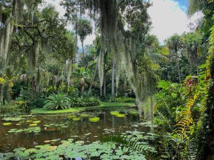 McKee-Botanical-gardens-Vero-Beach-Floride-0685