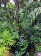 McKee-Botanical-gardens-Vero-Beach-Floride-0689