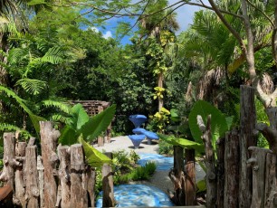 McKee-Botanical-gardens-Vero-Beach-Floride-0702