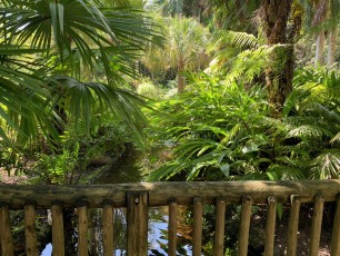 McKee-Botanical-gardens-Vero-Beach-Floride-0807