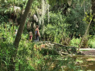 McKee-Botanical-gardens-Vero-Beach-Floride-6909