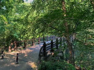 central-park-visiter-new-york-guide-de-voyage-8521~photoThe Ramble à Central Park