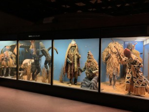 Partie consacrée à l'Afrique au Musée d'histoire naturelle de New-York (American Museum of Natural History)