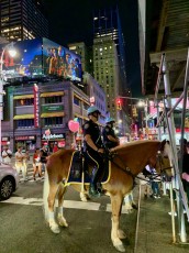 La police montée près de Times Square à New-York