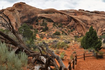 Delicate Arch, à Arches National Park, Moab, Utah