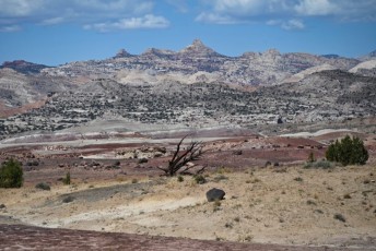 Cathedral-valley-Capitol-Reef-National-park-utah-6897