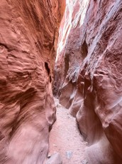 dry-fork-narrows-slot-canyon-grand-staircase-escalante-utah-3477