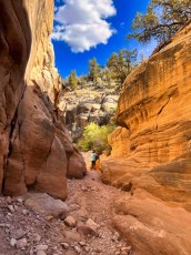 willis-creek-narrows-slot-canyon-grand-staircase-escalante-utah-3243