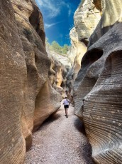 willis-creek-narrows-slot-canyon-grand-staircase-escalante-utah-3256