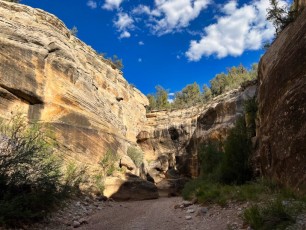willis-creek-narrows-slot-canyon-grand-staircase-escalante-utah-3263
