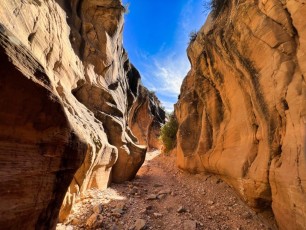 willis-creek-narrows-slot-canyon-grand-staircase-escalante-utah-3302