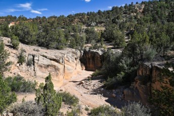 willis-creek-narrows-slot-canyon-grand-staircase-escalante-utah-7529