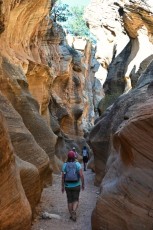 willis-creek-narrows-slot-canyon-grand-staircase-escalante-utah-7532