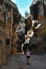 willis-creek-narrows-slot-canyon-grand-staircase-escalante-utah-7535