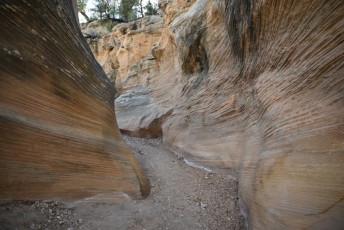 willis-creek-narrows-slot-canyon-grand-staircase-escalante-utah-7542
