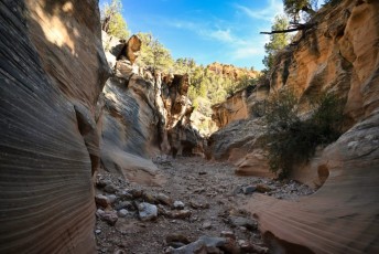 willis-creek-narrows-slot-canyon-grand-staircase-escalante-utah-7544