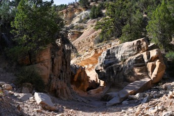 willis-creek-narrows-slot-canyon-grand-staircase-escalante-utah-7545