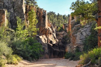 willis-creek-narrows-slot-canyon-grand-staircase-escalante-utah-7554