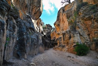willis-creek-narrows-slot-canyon-grand-staircase-escalante-utah-7560