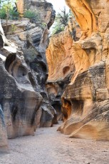 willis-creek-narrows-slot-canyon-grand-staircase-escalante-utah-7561