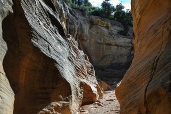 willis-creek-narrows-slot-canyon-grand-staircase-escalante-utah-7562