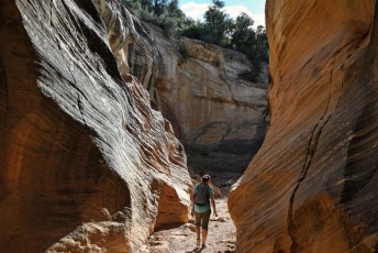 willis-creek-narrows-slot-canyon-grand-staircase-escalante-utah-7565