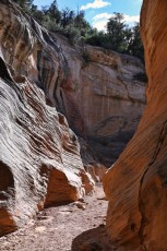 willis-creek-narrows-slot-canyon-grand-staircase-escalante-utah-7567