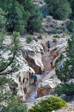 willis-creek-narrows-slot-canyon-grand-staircase-escalante-utah-7576