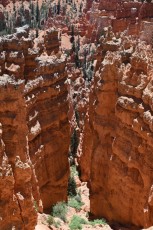 Bryce-Canyon-national-park-Utah-7474