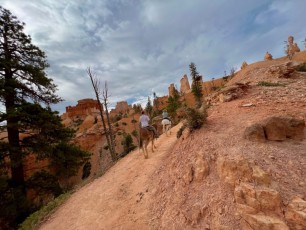 Bryce-Canyon-national-park-visite-Cheval-Utah-3734
