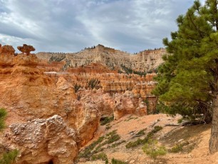 Bryce-Canyon-national-park-visite-Cheval-Utah-3763