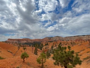 Bryce-Canyon-national-park-visite-Cheval-Utah-3837~photo