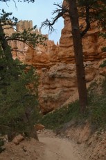 Bryce-Canyon-national-park-visite-Cheval-Utah-8309
