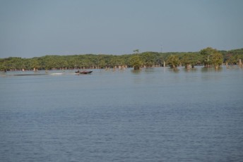 atchafalaya-bassin-bayou-airboat-louisiane-2292
