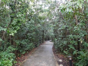Mangrove - The Barnacle : parc historique à Coconut Grove - Miami - Floride