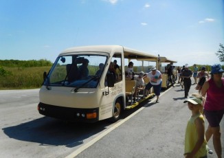 Tram à Shark Valley / Parc National des Everglades