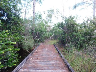 Apoxee Trail, sentier de randonnée à West Palm Beach en Floride