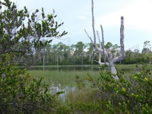 Apoxee Trail, sentier de randonnée à West Palm Beach en Floride