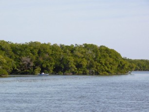 Les 10 000 Islands de Everglades, sur la côte ouest de la Floride.