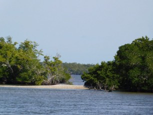 Les 10 000 Islands de Everglades, sur la côte ouest de la Floride.