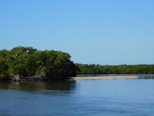 Les 10000 Islands des Everglades (Floride)