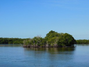 Les 10000 Islands des Everglades (Floride)