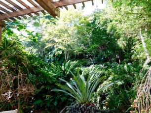 Mary-Selby-Botanical-Gardens-Sarasota-7763