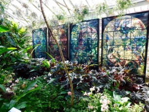 Mary-Selby-Botanical-Gardens-Sarasota-7765