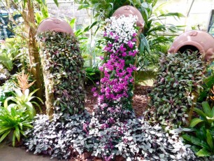 Mary-Selby-Botanical-Gardens-Sarasota-7767