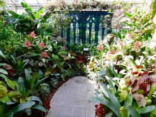 Mary-Selby-Botanical-Gardens-Sarasota-7769