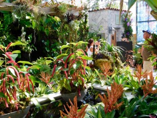 Mary-Selby-Botanical-Gardens-Sarasota-7776